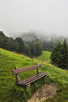 Terrain Prints: Europe, Germany, Bavaria, Berchtesgaden, Early Morning Fog