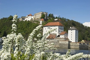 Images Dated 23rd April 2009: Europe, Germany, Bavaria, Passau, Oberhaus Fortress and flowering trees along Danube