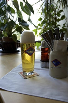 Images Dated 23rd April 2009: Europe, Germany, Bavaria, Passau, German beer