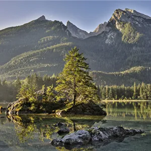 Images Dated 1st June 2020: Europe, Germany, Bavaria, Ramsau bei Berchtesgaden, Lake Hintersee in Morning Light