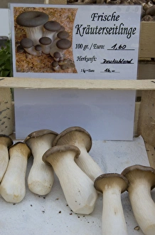 Images Dated 25th April 2009: Europe, Germany, Bavaria, Regensburg, fresh mushrooms for sale