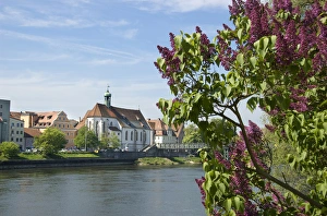 Europe, Germany, Bavaria, Regensburg