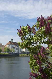 Images Dated 25th April 2009: Europe, Germany, Bavaria, Regensburg