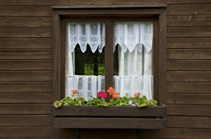 Images Dated 26th April 2009: Europe, Germany, Bavaria, Straubing, cottage window detail