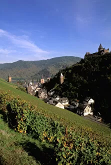 Europe, Germany, Rhineland, Bacharach. Beautiful Rhine River and wine fields