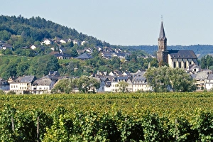 Bernkastel Kues Prints: Europe, Germany, Rhineland-Palatinate, town of Bernkastel-Kues, vineyard in the foreground