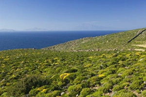 Images Dated 17th May 2006: Europe, Greece