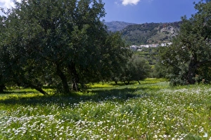 Images Dated 28th March 2009: Europe, Greece