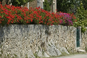 Images Dated 6th May 2006: Europe, Greece
