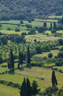 Images Dated 6th May 2006: Europe, Greece