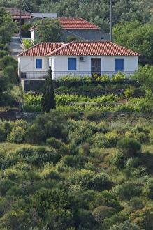 Images Dated 6th May 2006: Europe, Greece