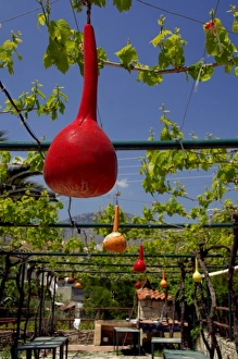 Europe, Greece, Crete (aka Kriti). Small village of Kato Aites, local taverna with