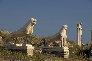 Europe, Greece, Cyclades, Delos. Famous 7th century Lions of the Naxians