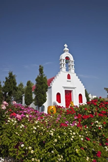 Images Dated 22nd May 2009: Europe, Greece, Greek Island, Mykonos, Chapel with red door and colorful plantings