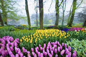 Painterly Prints: Europe, Holland, Lisse. Abstract of Keukenhof Gardens