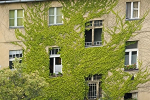 Images Dated 29th June 2007: Europe, Hungary