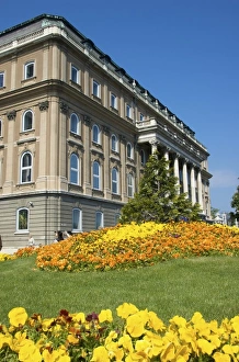 Europe, Hungary, Budapest, Buda, Buda Castle, Castle Hill, palace, Spring flowers