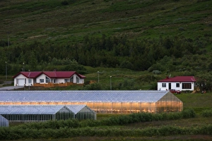 Images Dated 21st July 2009: Europe, Iceland
