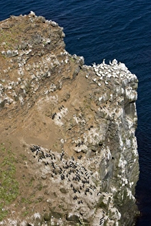 Images Dated 17th June 2007: Europe, Iceland