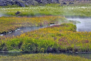Images Dated 23rd July 2010: Europe, Iceland