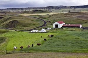 Images Dated 23rd July 2010: Europe, Iceland