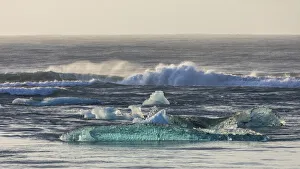 Icelandic Prints: Europe, Iceland. Morning light shines on ice chunks on Diamond Beach near Jokulsarlon
