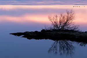 Images Dated 17th March 2015: Europe, Iceland, North Iceland, near Lake Myvatn, Reykjahlio