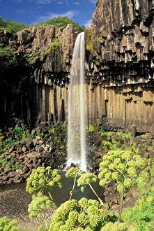 Images Dated 11th February 2005: Europe, Iceland, Skaftafell NP, Svartifoss Falls