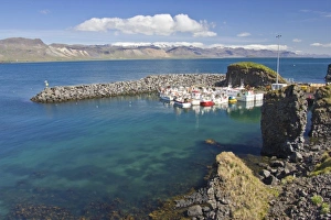 Joan Loeken Prints: Europe, Iceland, Snaefellsnes Peninsula, Arnarstapi, North Atlantic Ocean, scenic