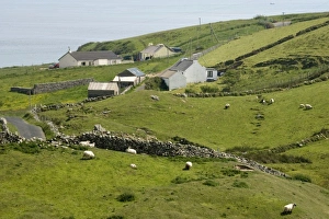 Europe, Ireland