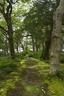 Europe, Ireland