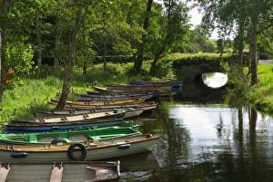 Images Dated 29th July 2009: Europe, Ireland