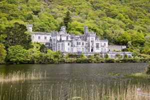 Images Dated 23rd May 2006: Europe, Ireland