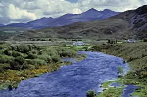 County Kerry Prints: Europe, Ireland, Caragh River. The Caragh River flows through the heathered green of County Kerry