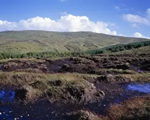 County Donegal Prints: Europe, Ireland, Carrick. Clouds billow beyond the heathery peat bogs of Carrick