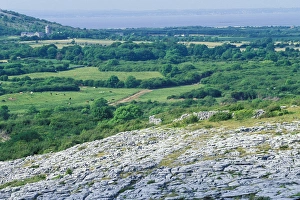 Images Dated 31st August 2011: Europe, Ireland, County Clare. Ballyvaughan, The Burren