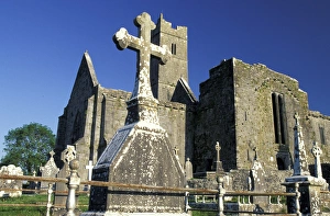 Images Dated 31st August 2011: Europe, Ireland, County Clare. Quin Abbey, Crosses in cemetery