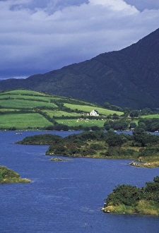 Images Dated 31st August 2011: Europe, Ireland, County Cork, Beara Peninsula. Ardgroom Harbor