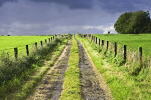 Ireland Collection: Europe, Ireland. Dirt road in County Roscommon