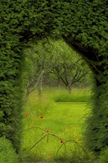 Ireland Collection: Europe, Ireland. Garden at Ardmore Castle