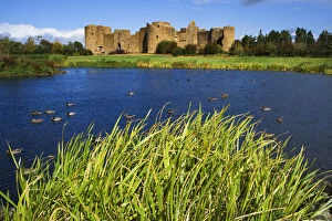 Images Dated 16th September 2007: Europe, Ireland, Roscommon. View of ruins of Roscommon Castle and ducks on pond. Credit as