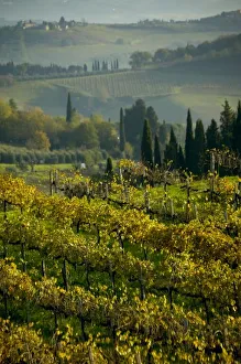 Images Dated 14th November 2004: Europe, Italy
