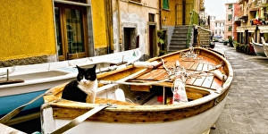 Images Dated 16th September 2010: Europe, Italy