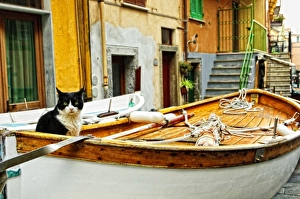 Images Dated 16th September 2010: Europe, Italy