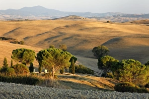 Images Dated 23rd September 2010: Europe, Italy