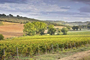 Images Dated 27th September 2010: Europe, Italy
