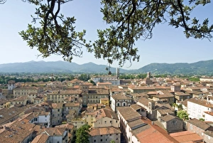 Images Dated 11th February 2010: Europe, Italy