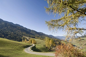 Europe, Italy