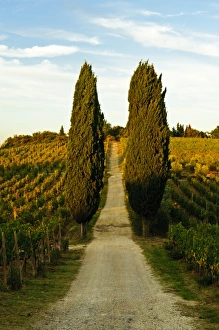Europe, Italy