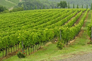 Europe, Italy